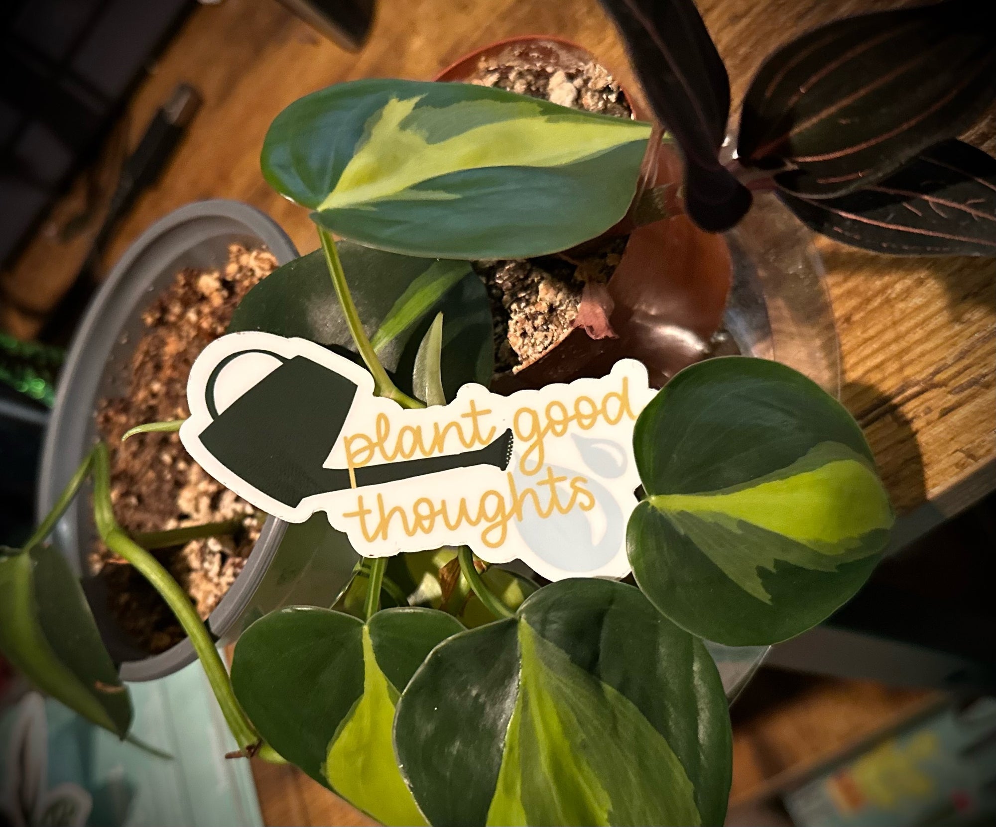 Plant good thoughts