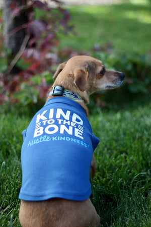 Hustle Kindness Pet Shirts