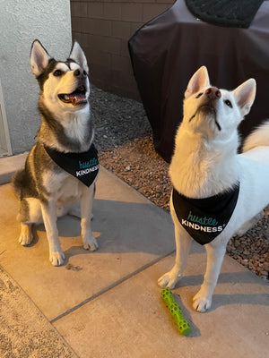 Hustle Kindness Cotton Bandana