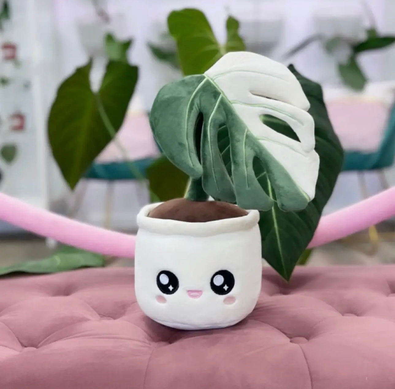 Monstera Deliciosa Albo Variegata Plushie