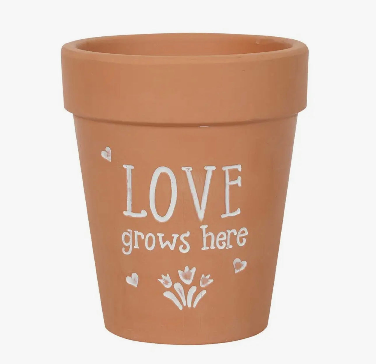 Love Grows Here Terracotta Plant Pot