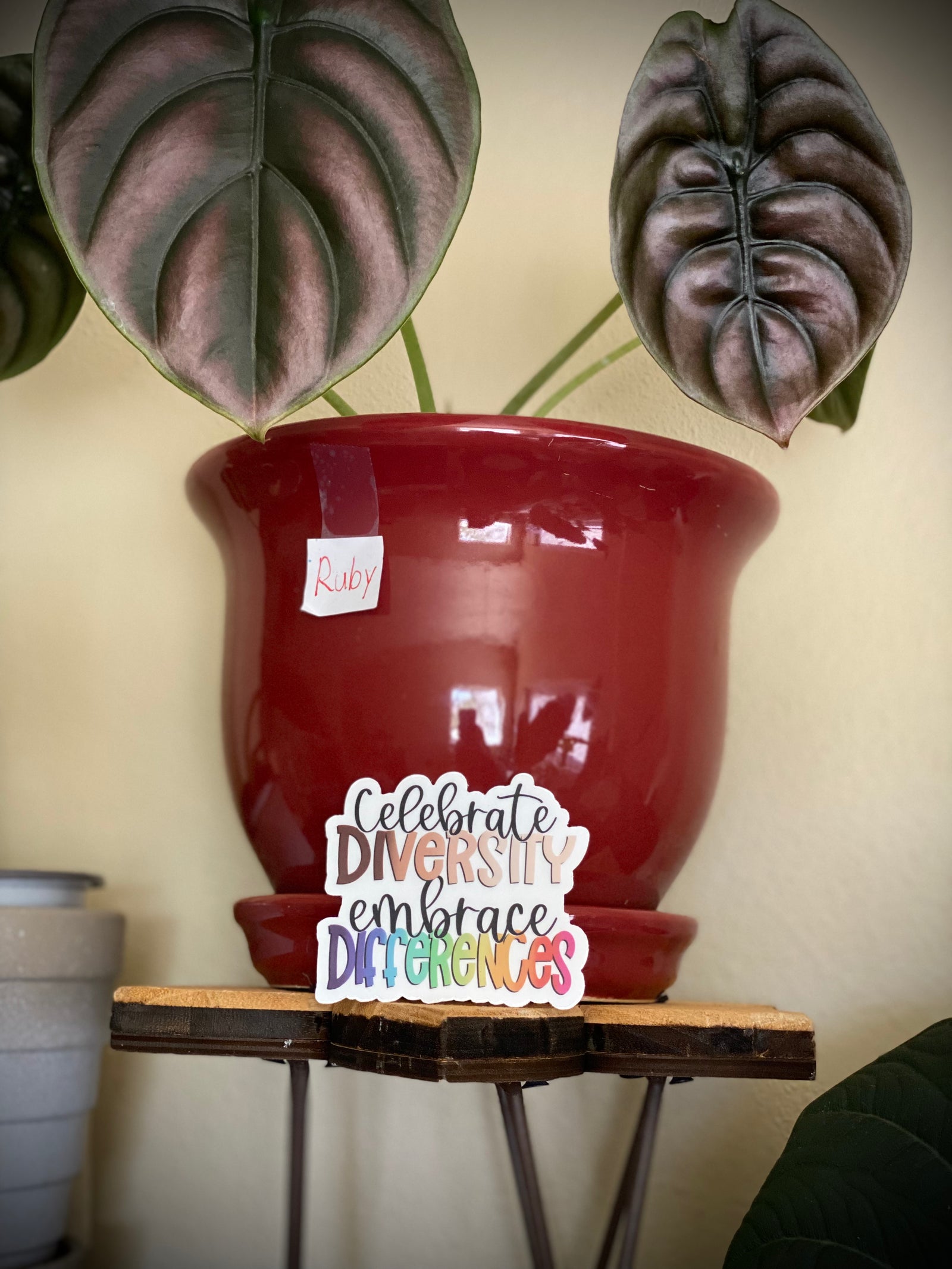 Celebrate Diversity Embrace Differences Stickers