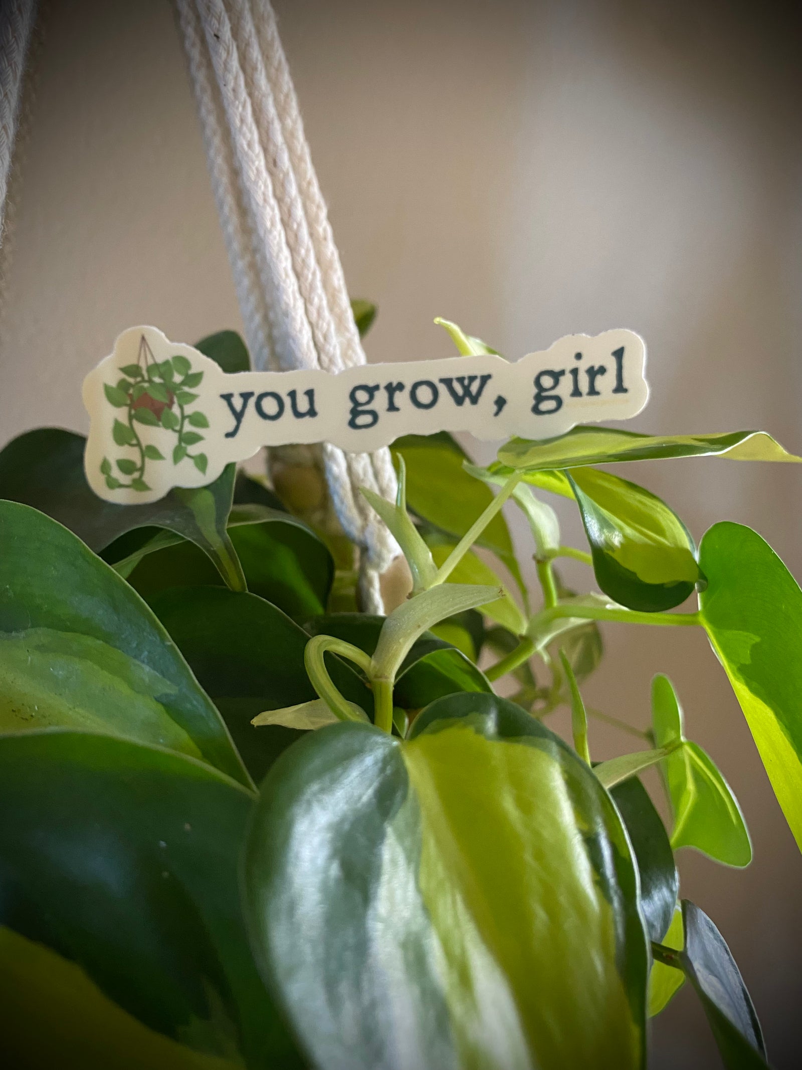 You Grow, Girl Plant Sticker