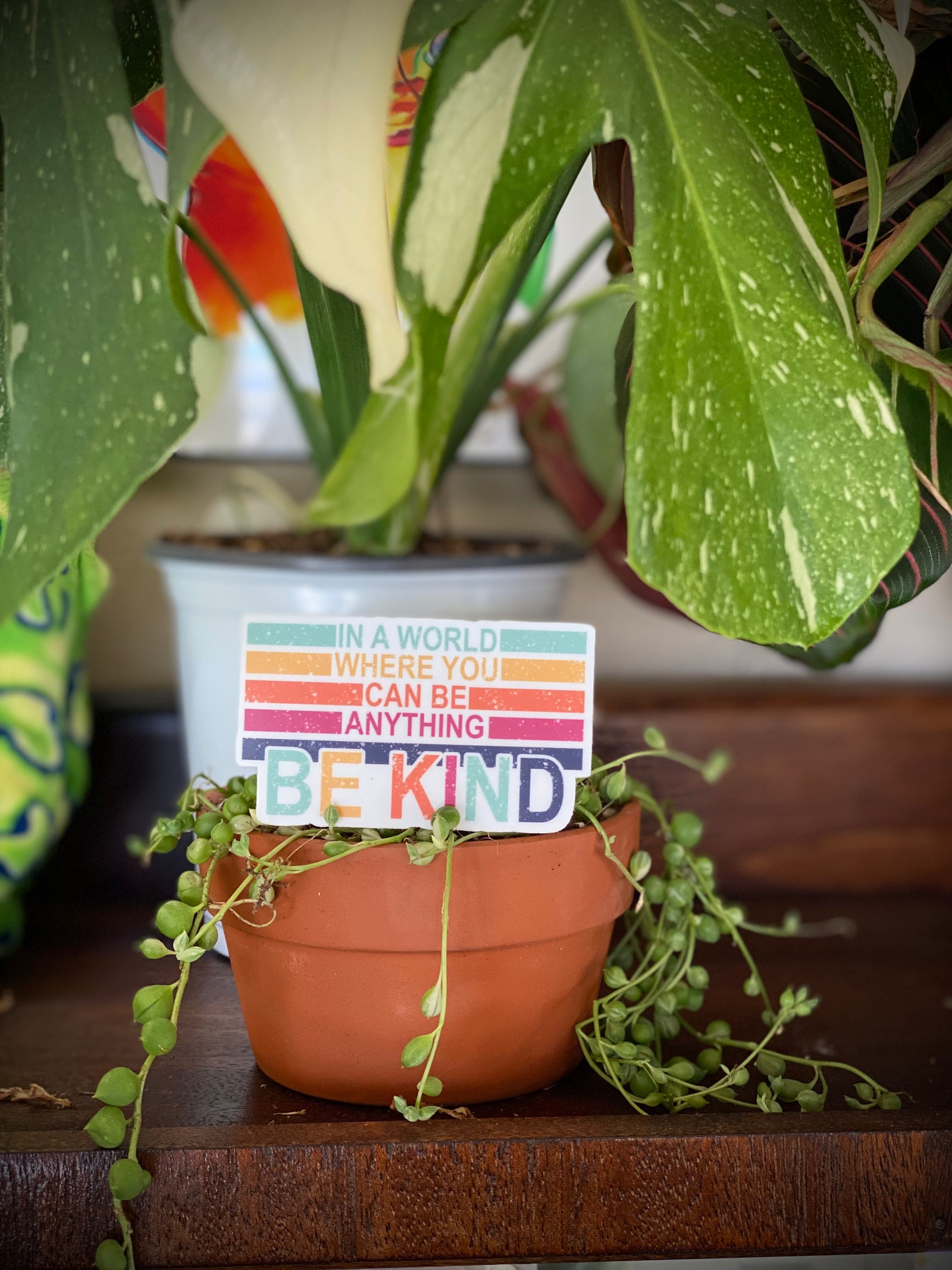 In A World Where You Can Be Sticker