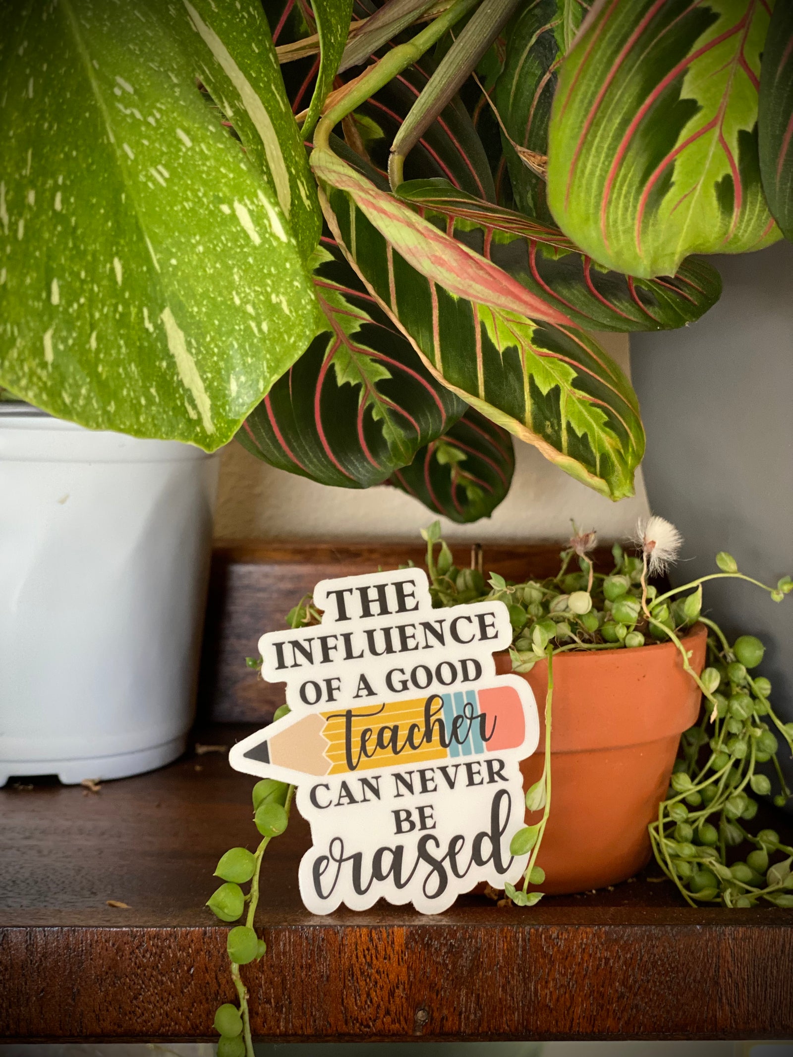 The Influence of A Good Teacher, Vinyl Sticker