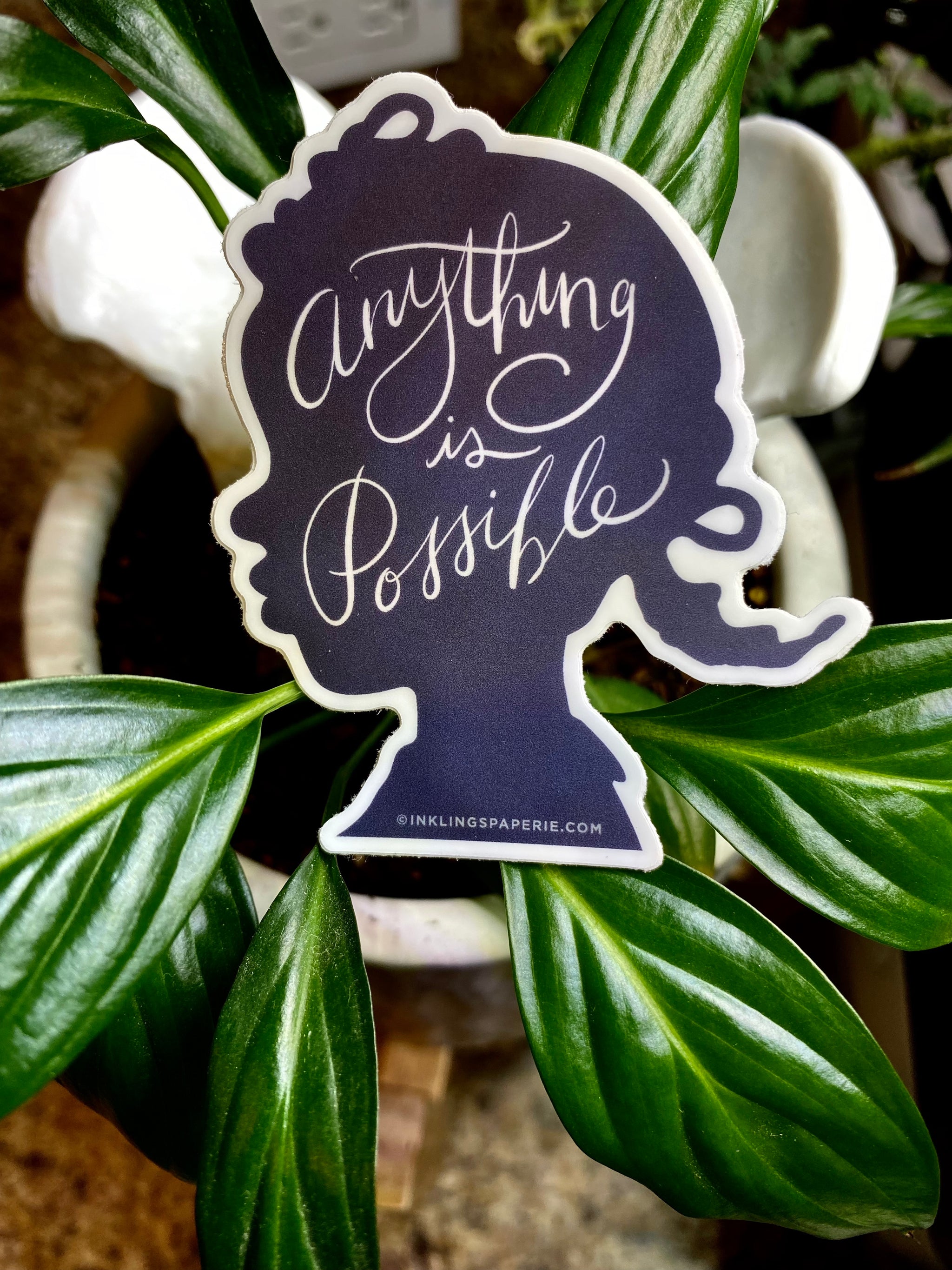 ANYTHING IS POSSIBLE STICKER - TakeShots